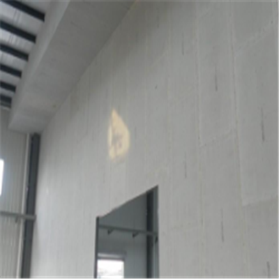 壶关新型建筑材料掺多种工业废渣的ALC|ACC|FPS模块板材轻质隔墙板